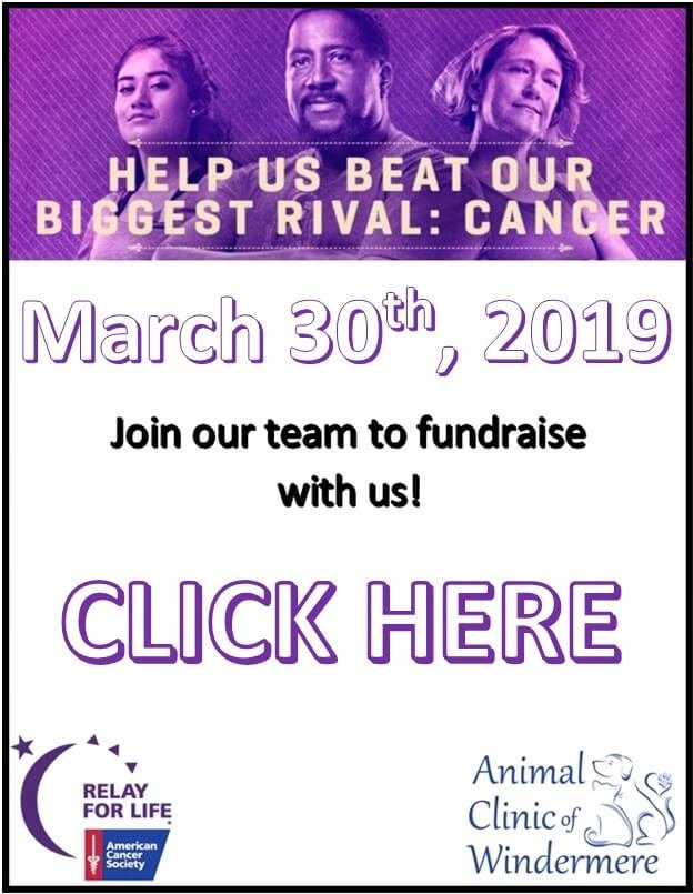 relay for life