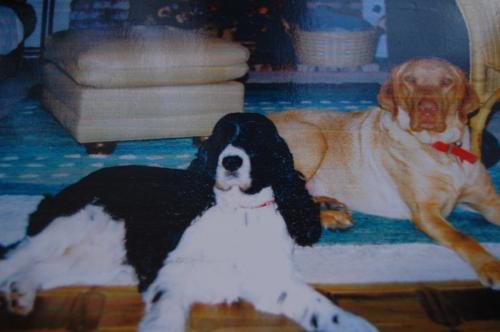 Brody & Lindy