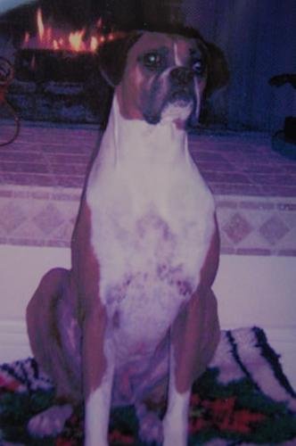 Cooper