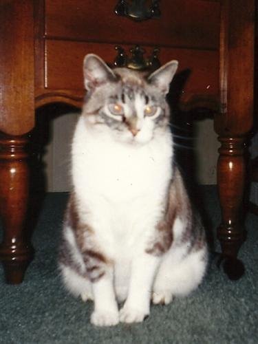 Kitty Jones
