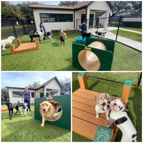 Kennel Techs 2