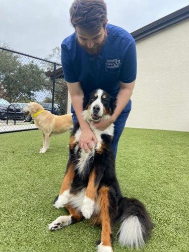 Kennel Techs 4