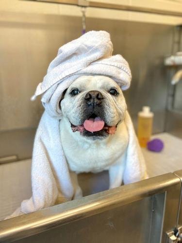 Bath-1